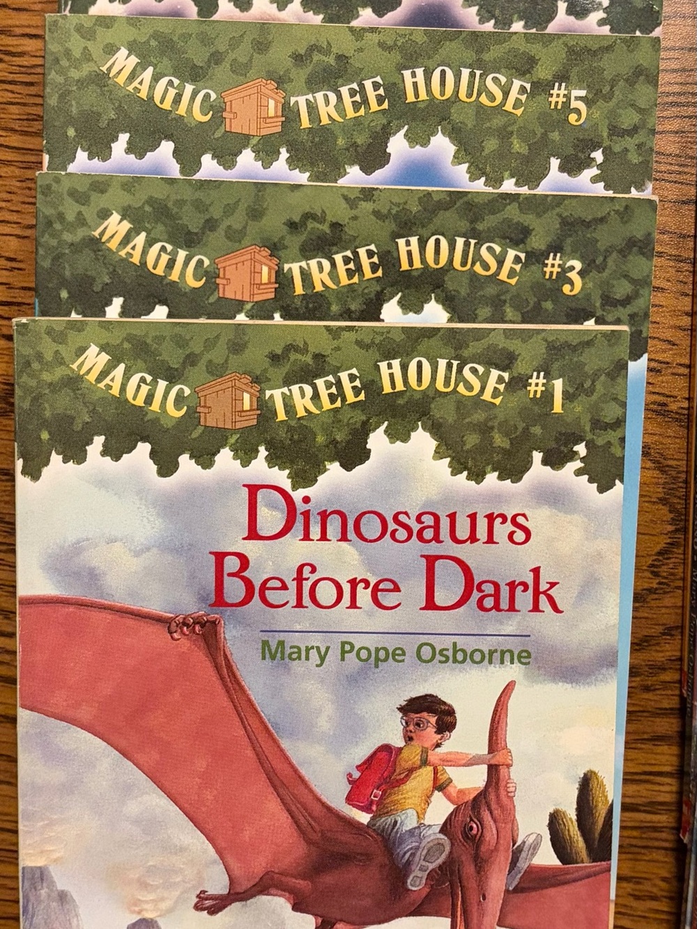The Magic Tree House 5 Book Set
